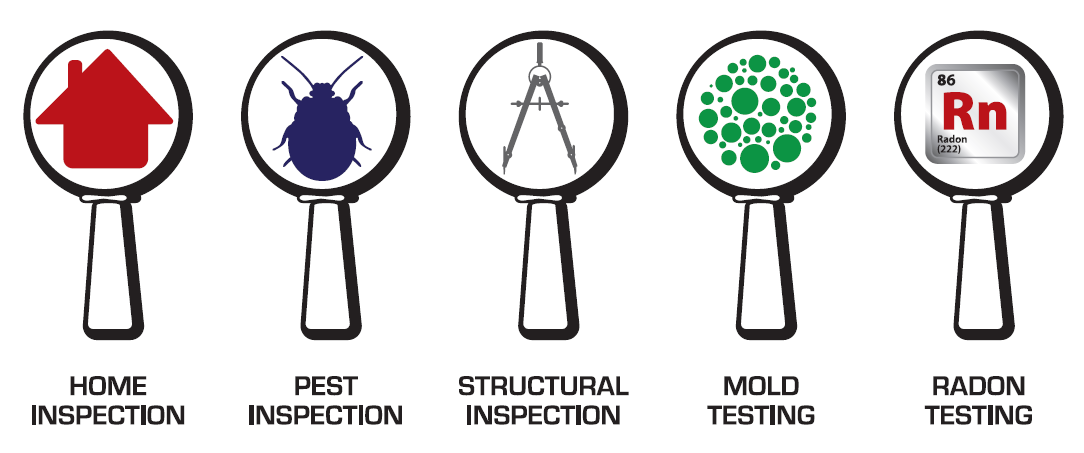 Step 8 - Contingencies, Appraisal, and Repairs