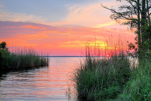 Lillian Al Real Estate For Sale