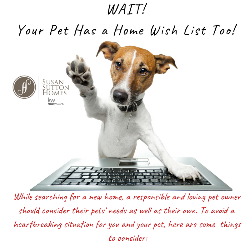 Pet Friendly Home Search Tips