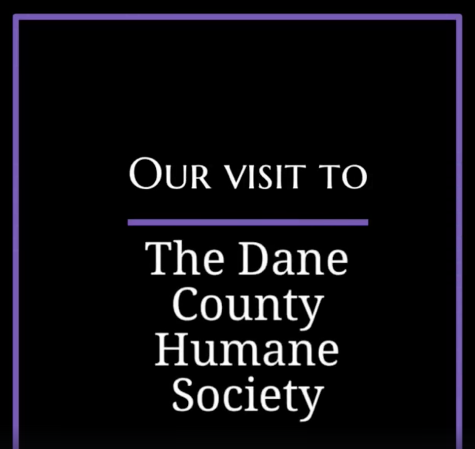The Dane County Humane Society
