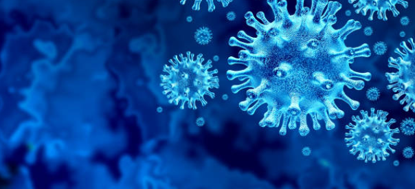 My thoughts on the Coronavirus and how it could impact the real estate market 
