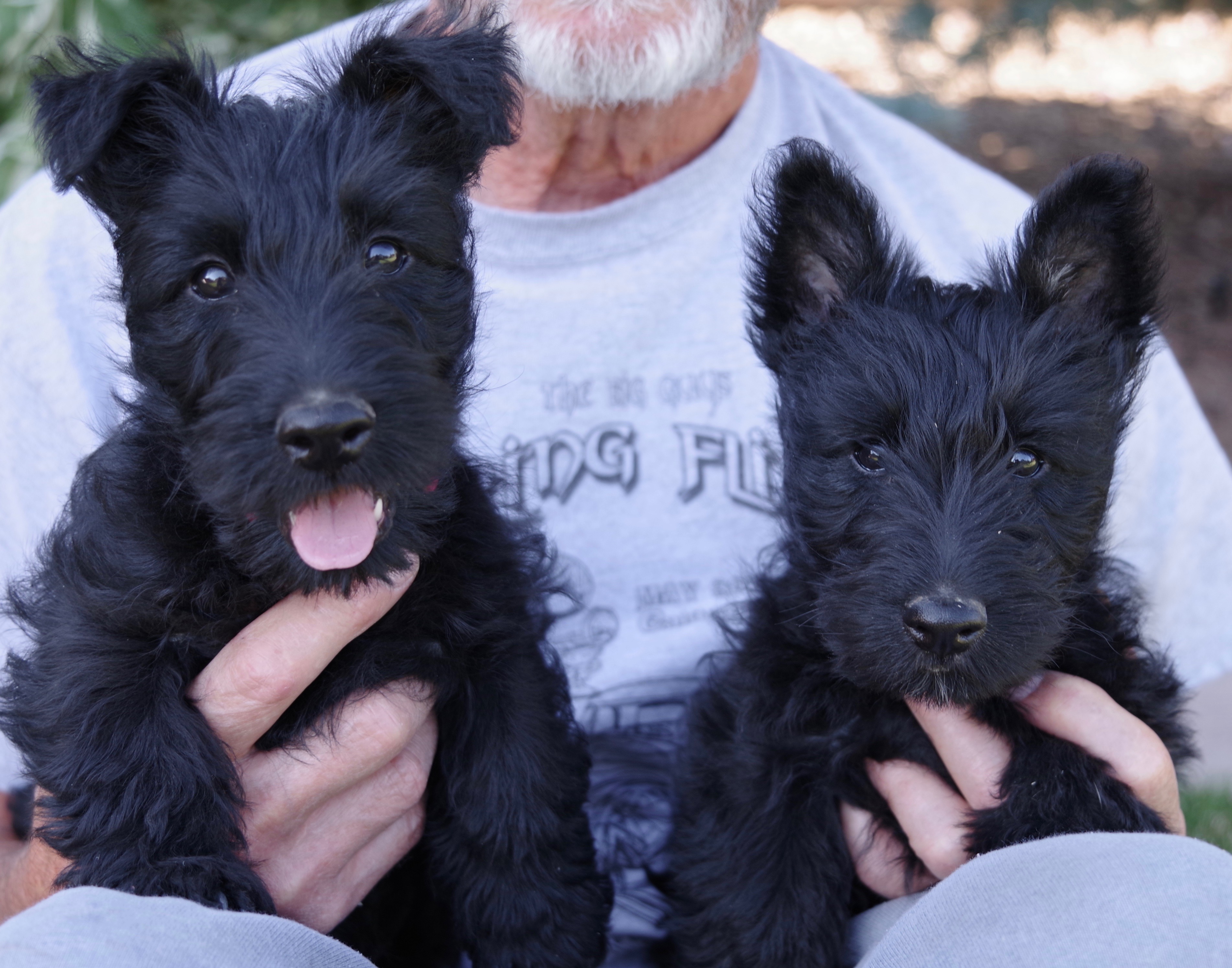 Meet Bert & Ernie