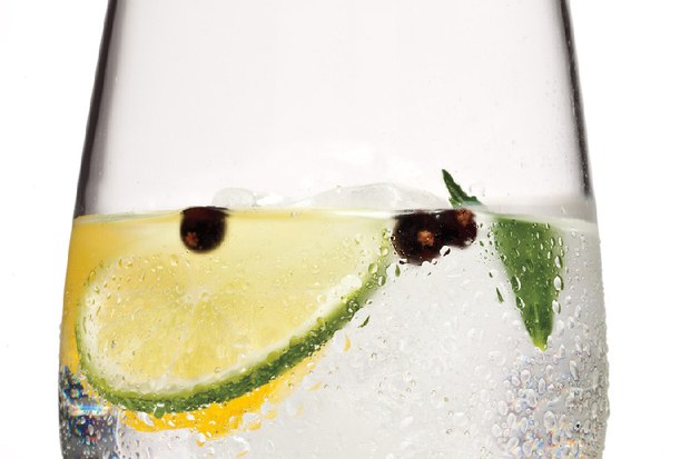 What Does a Spanish Gin and Tonic Have to Do with Sun Valley Real Estate 
