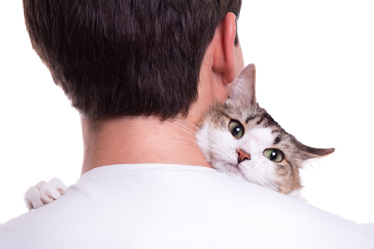Here's How to Have a Cat-Friendly Home