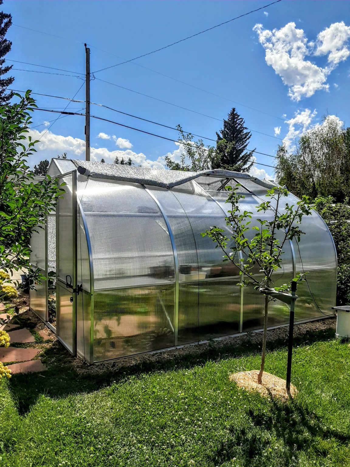 Laramie S Own Backyard Greenhouse