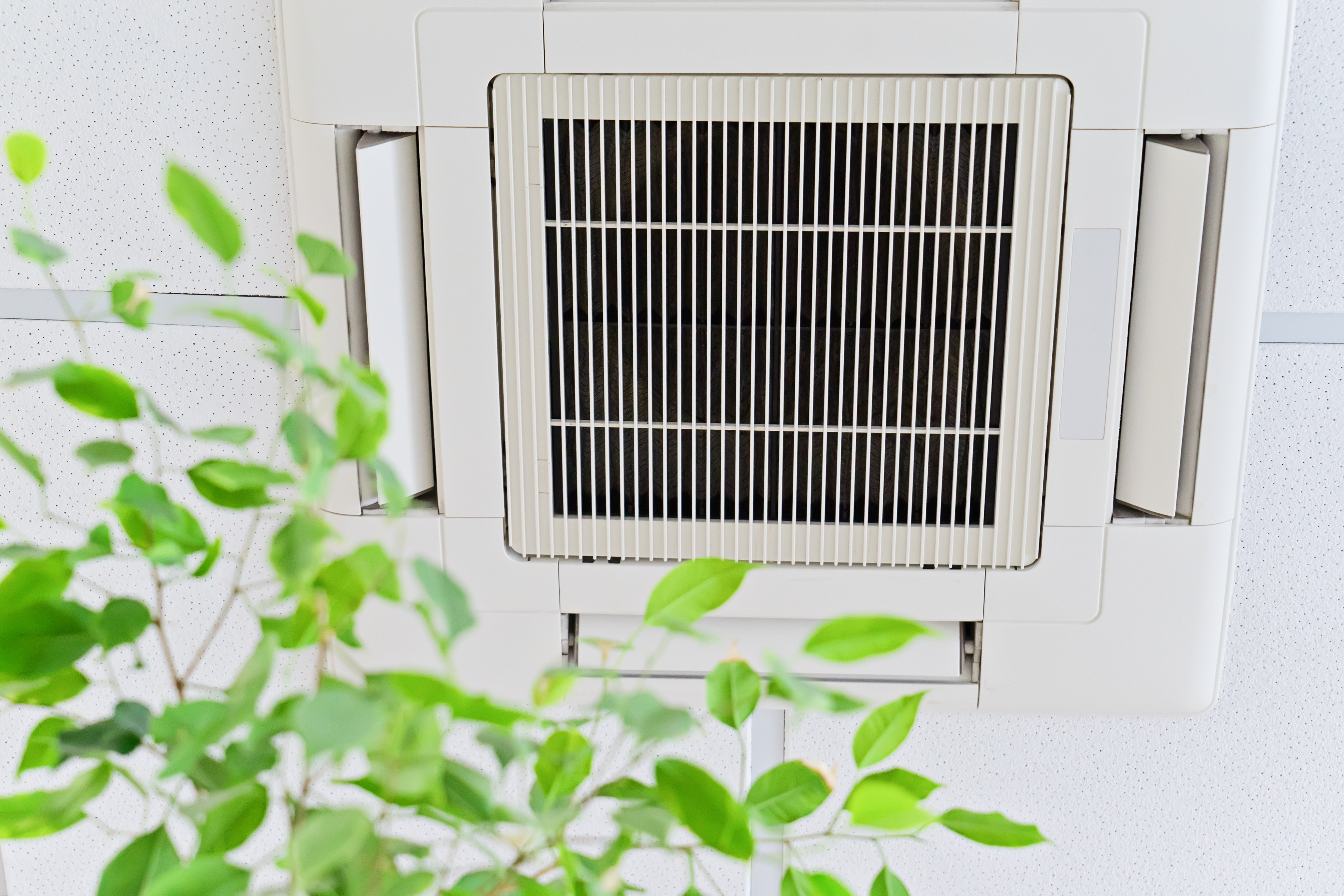 5 Ways To Improve Air Quality in Your Home