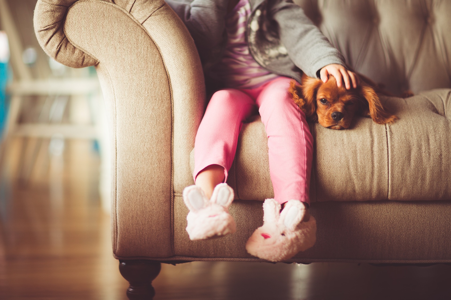 CREATE AN EVACUATION PLAN FOR YOUR PETS