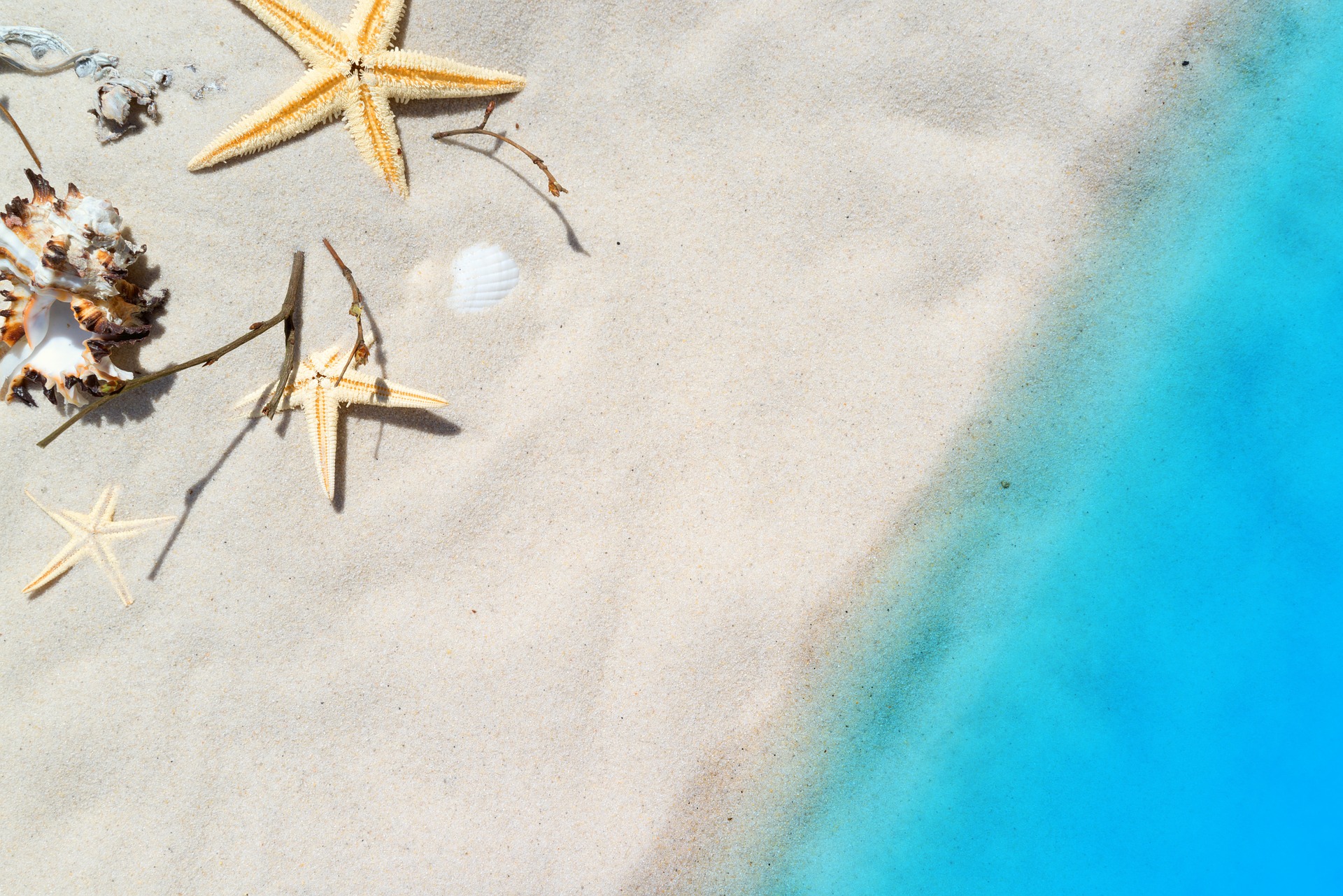 Fun and Easy Snacks to beat the Heat this Summer!
