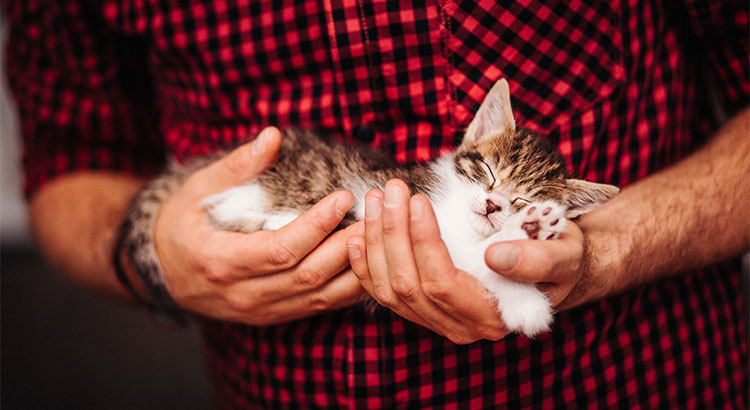 Selling Your Home? Is Your Listing ‘Pet-Friendly’?