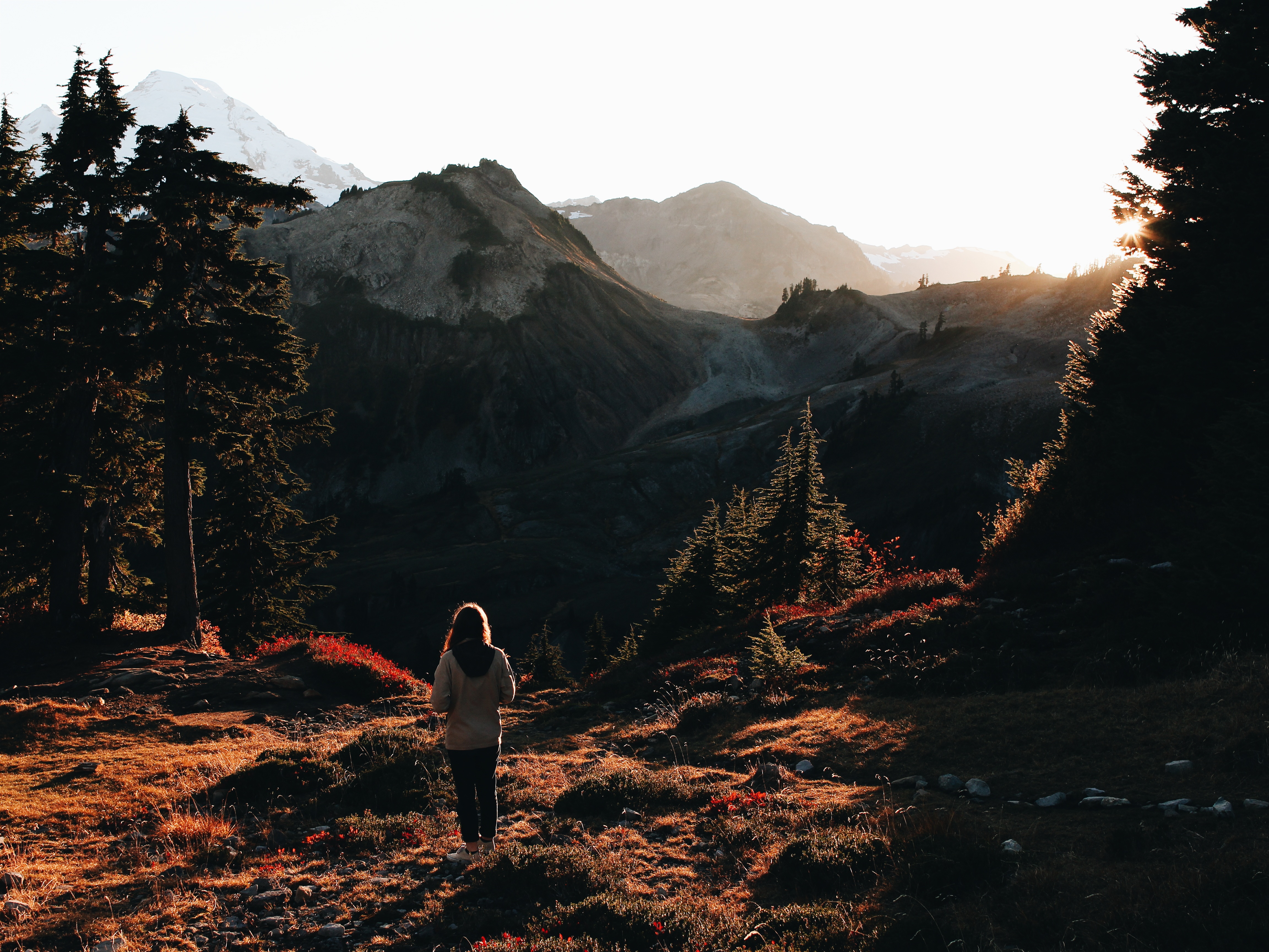 Get Lost: Five Great Hikes Within 30 mins of Denver