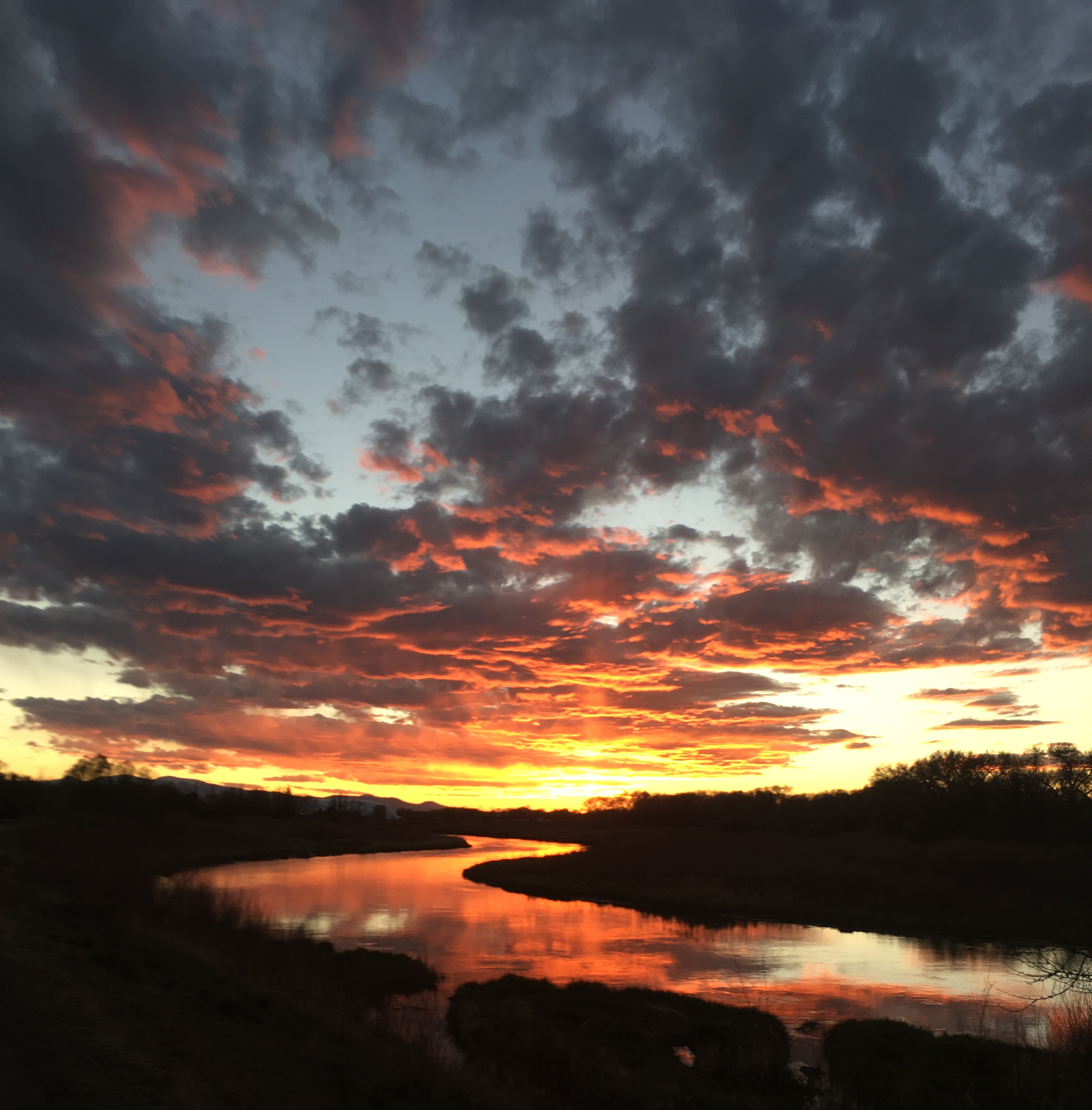 Cottonwood Estates