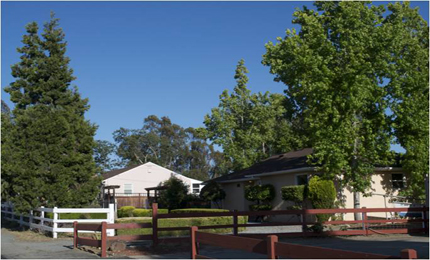 Summary Data and Homes Sold 2013