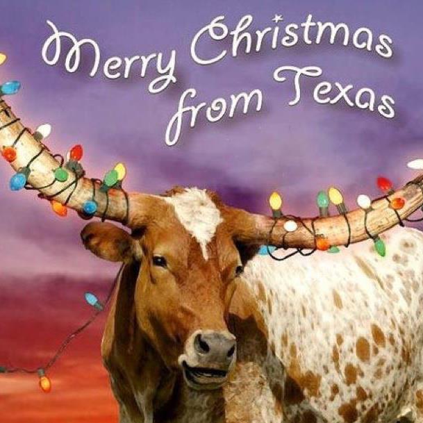 MERRY CHRISTMAS - The Charlie Brown Group