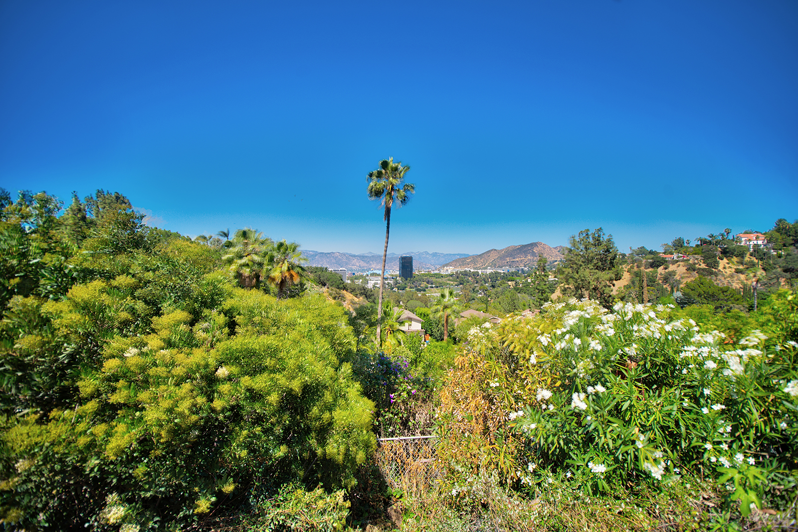 10911 Wrightwood Lane | Studio City