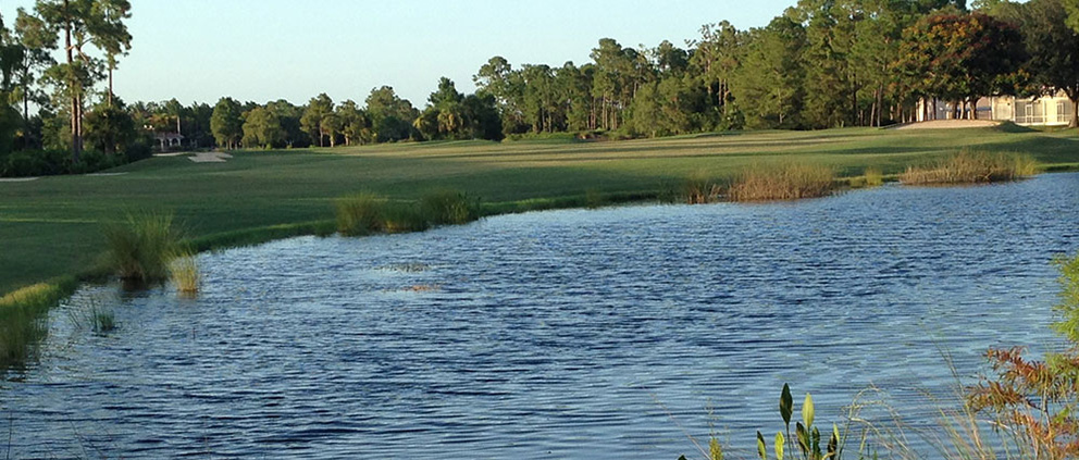 Glen Eagle - Naples, Florida