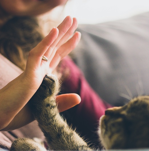 20 Random Acts of Kindness