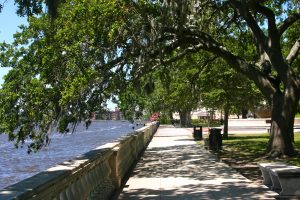 The Neighborhoods of Riverside and Avondale