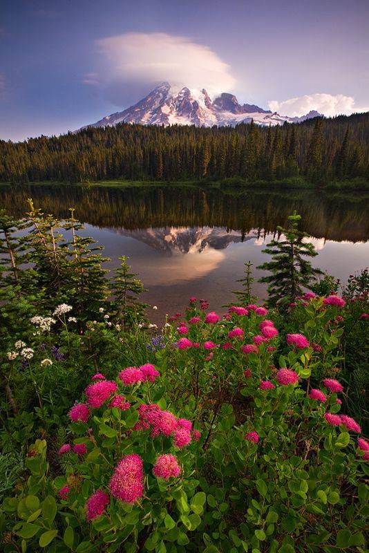 Washington State a beautiful place to live! Enjoy the Lifestyle!