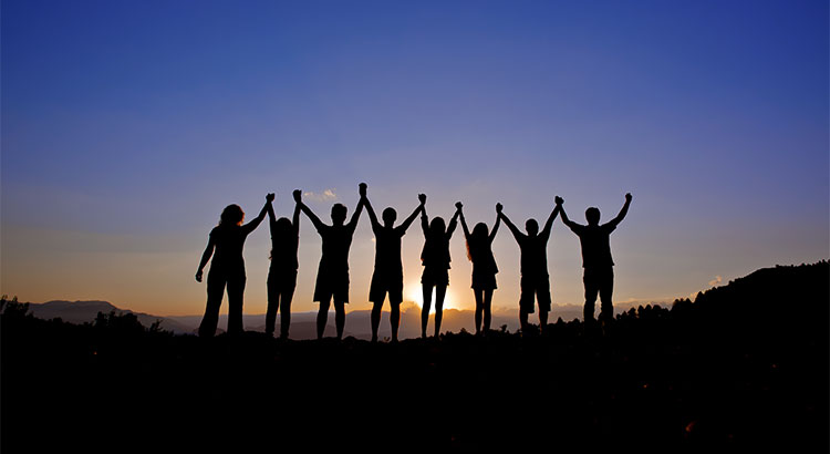 What to Look for in Your Real Estate Team