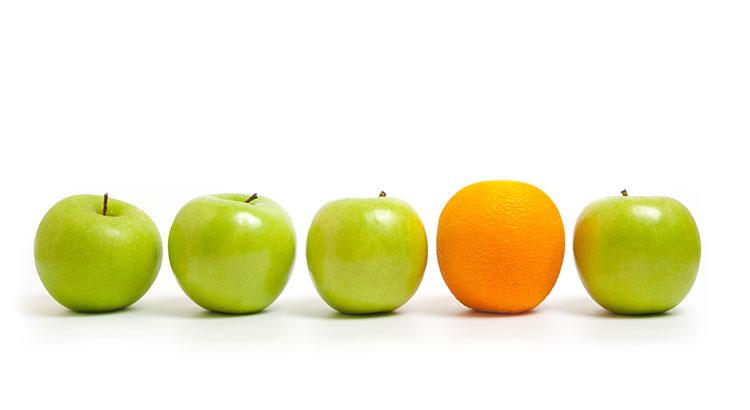 A Tale of Two Markets: A 6-Month Update
