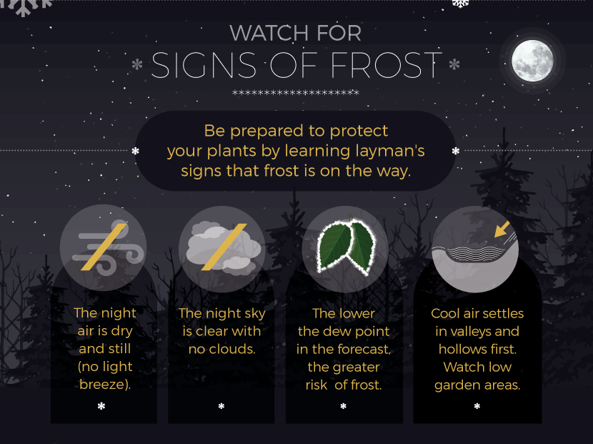 Protecting Plants from Winter in Connecticut