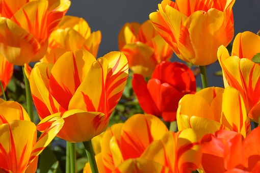Spring Ready?