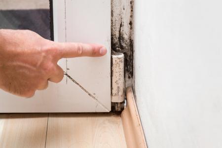 MOLD: AN UNINVITED AND POTENTIALLY DANGEROUS GUEST IN YOUR HOME
