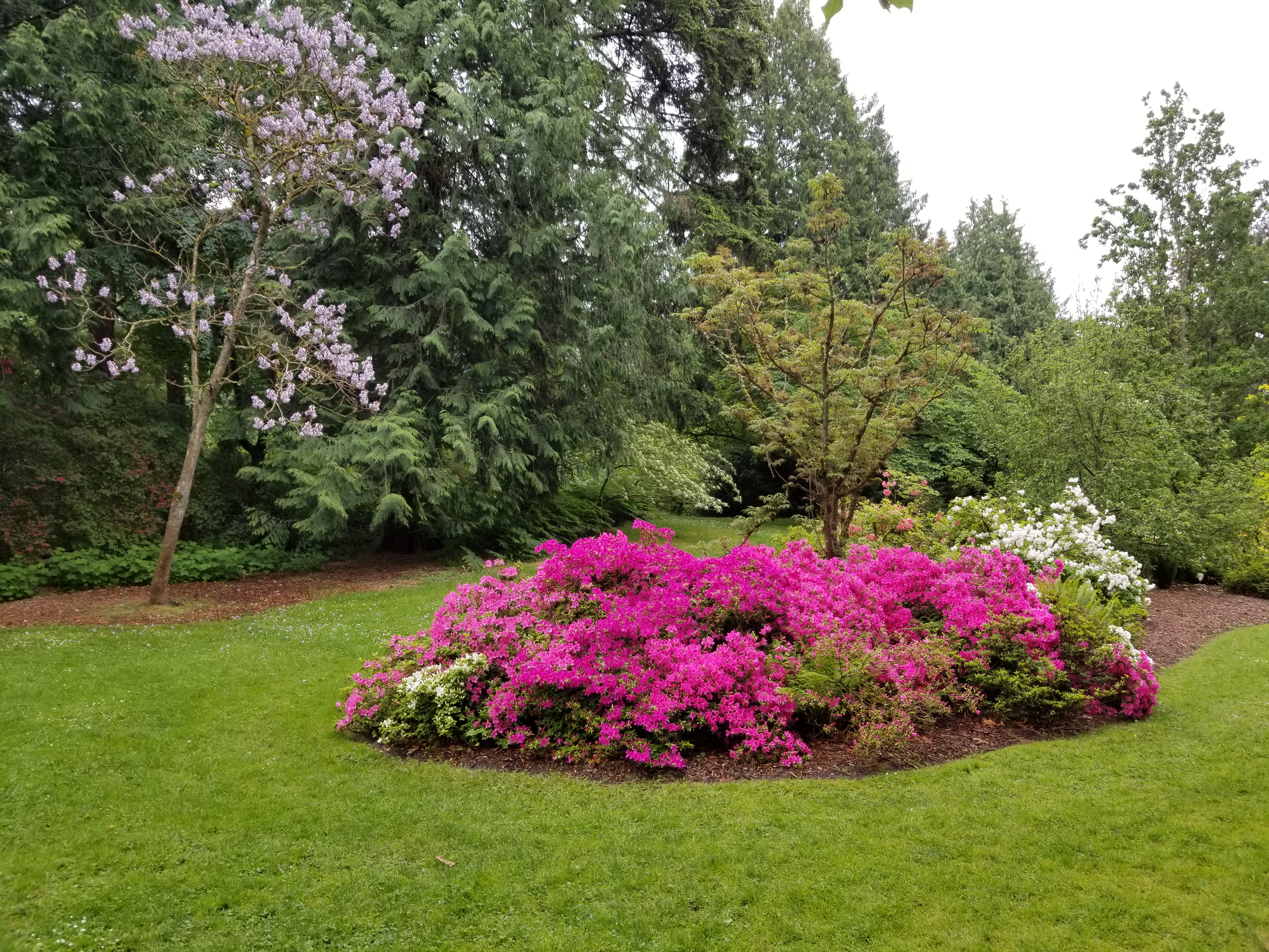 Get to Know Seattle's Washington Park Arboretum 