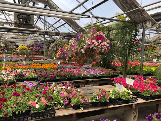 Spring is blooming at Paulino's