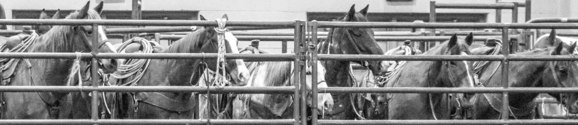 2018 Michigan Horse Expo