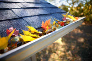 8 Winter and Annual Maintenance Tips for Landlords and Homeowners