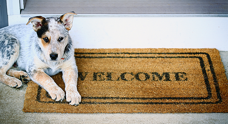 The REAL Reasons Americans Buy a Home