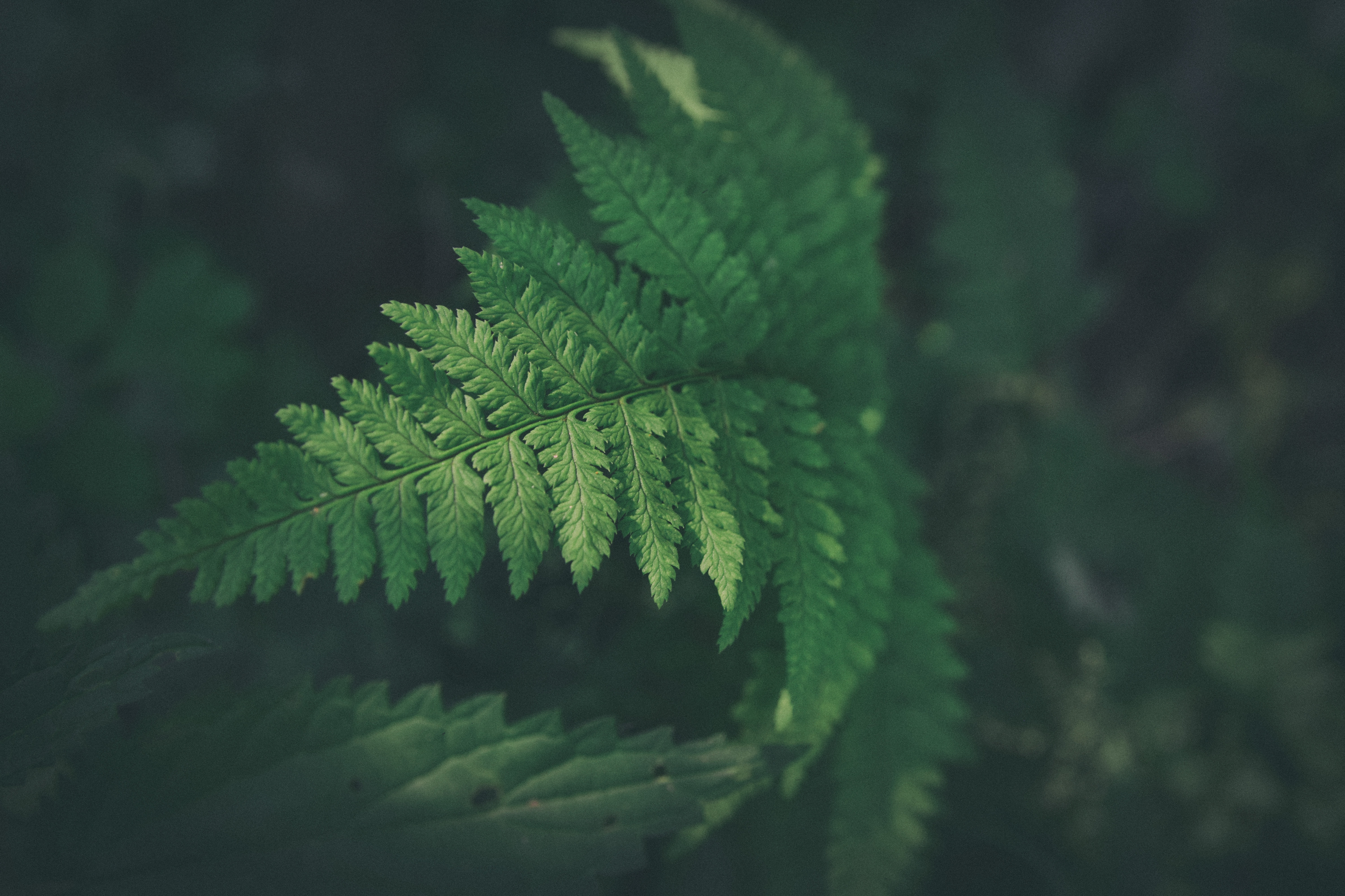 10 Tips For Going Greener At Home