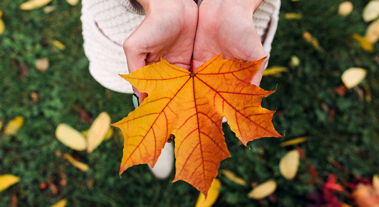 October Real Estate Newsletter