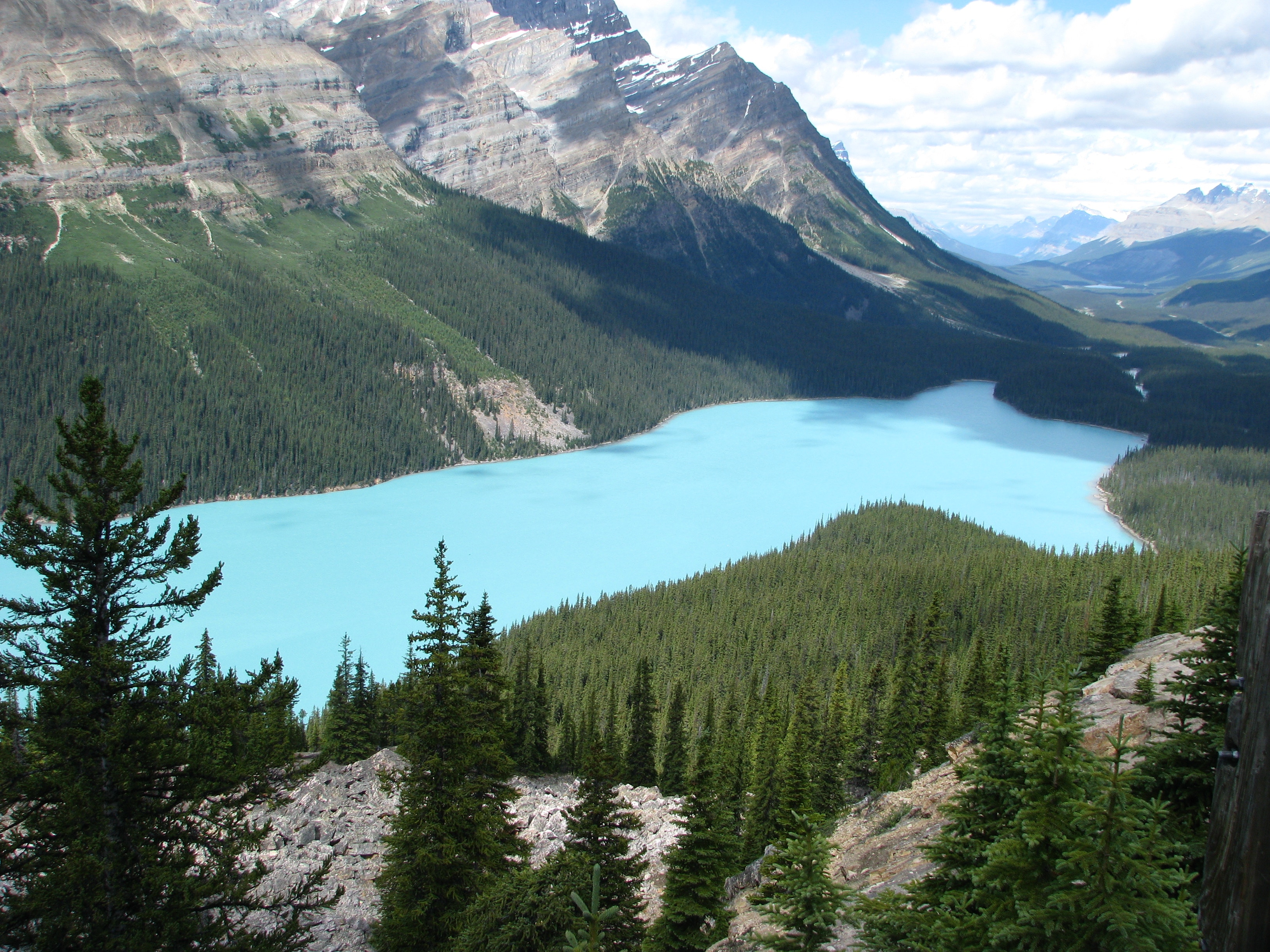 24 Celebrities Who Live or Grew Up In Montana