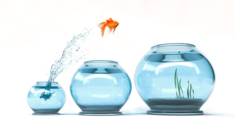 The #1 Reason to Sell Now Before Spring