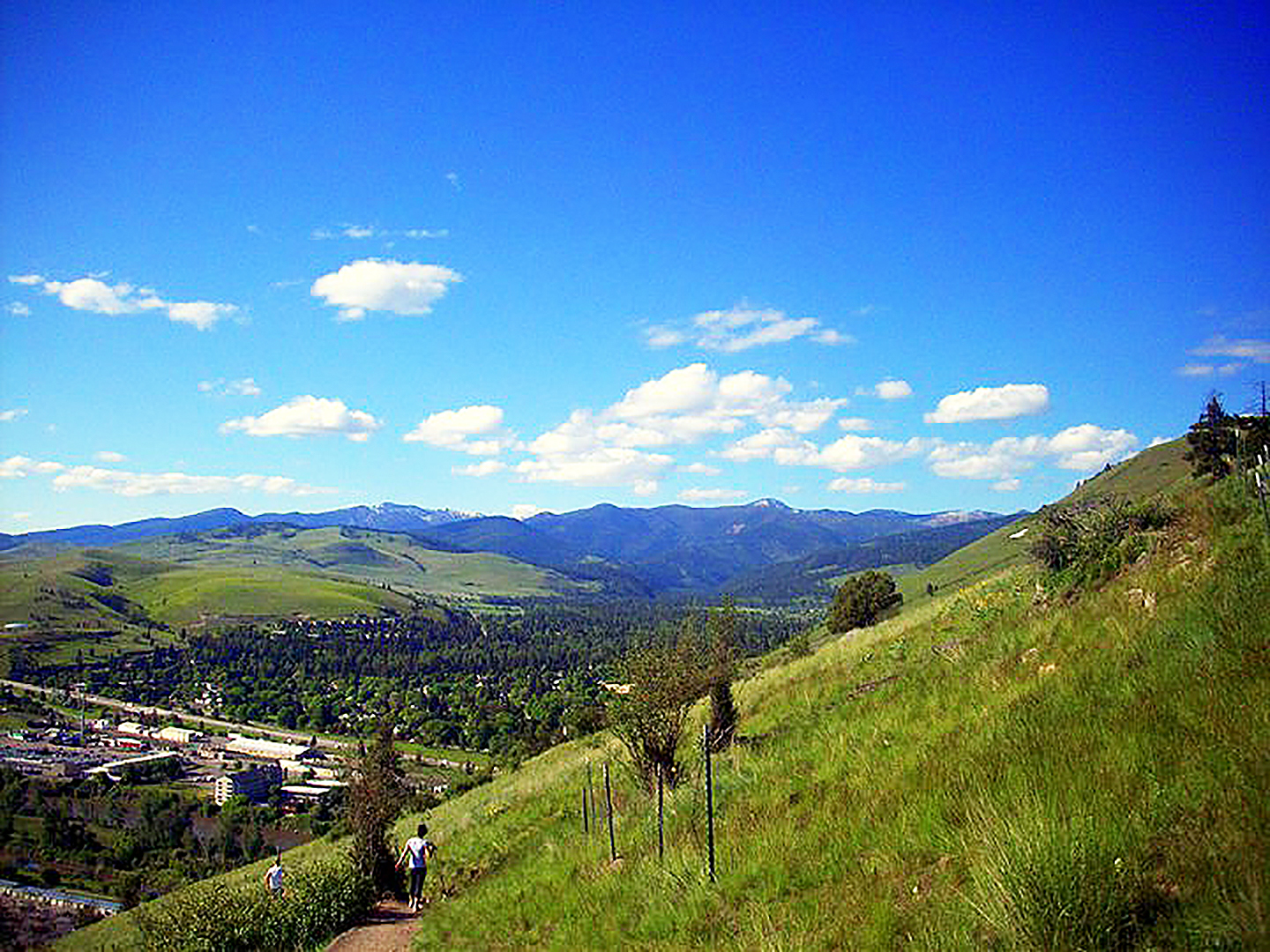 Three Incredible Neighborhoods in Missoula