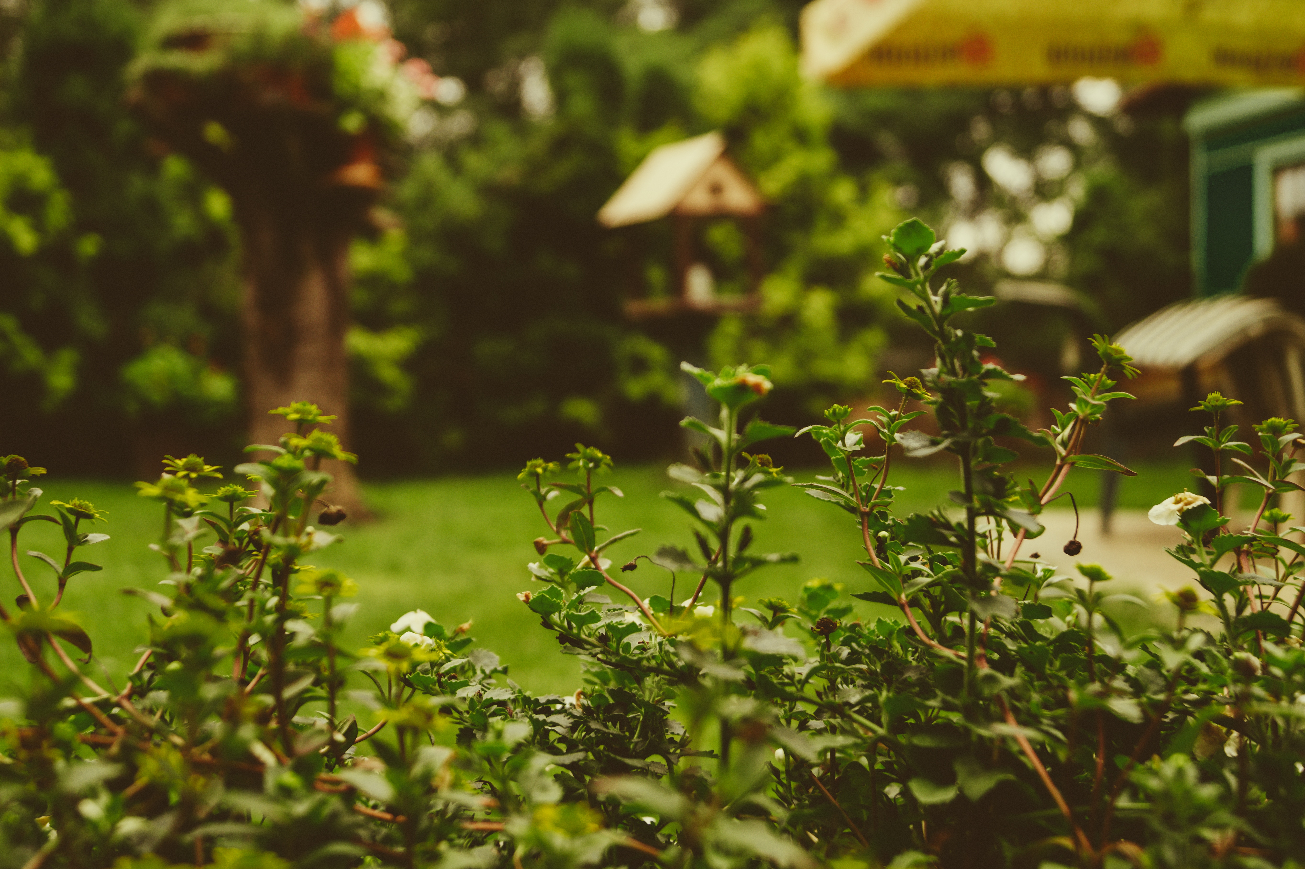 10 Tips For Going Greener At Home