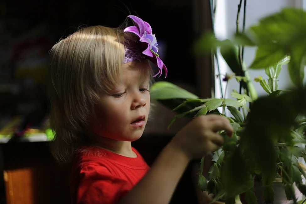 Clean Air In The Home: Keeping Your Kids Healthy