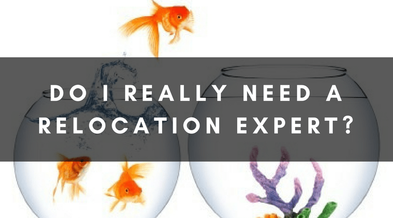 DO I REALLY NEED A RELOCATION EXPERT?
