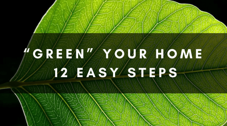 “GREEN” YOUR HOME | 12 EASY STEPS