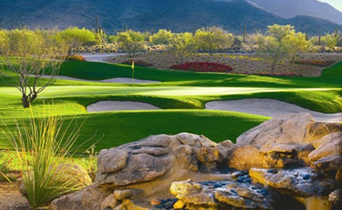 Search Homes In Anthem Country Club