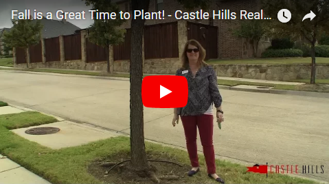Fall is a Great Time to Plant!