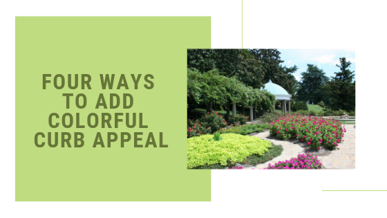Four Ways To Add Colorful Curb Appeal To Your New Home