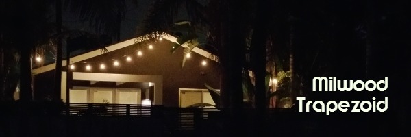 Venice Neighborhoods