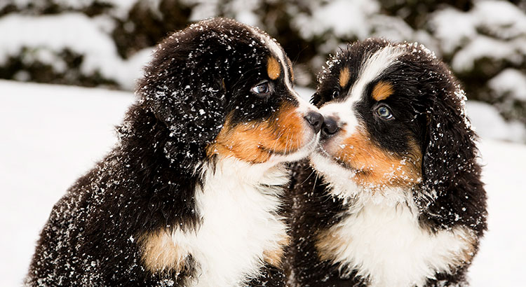 Winter Is Coming! 5 Reasons To Sell Now