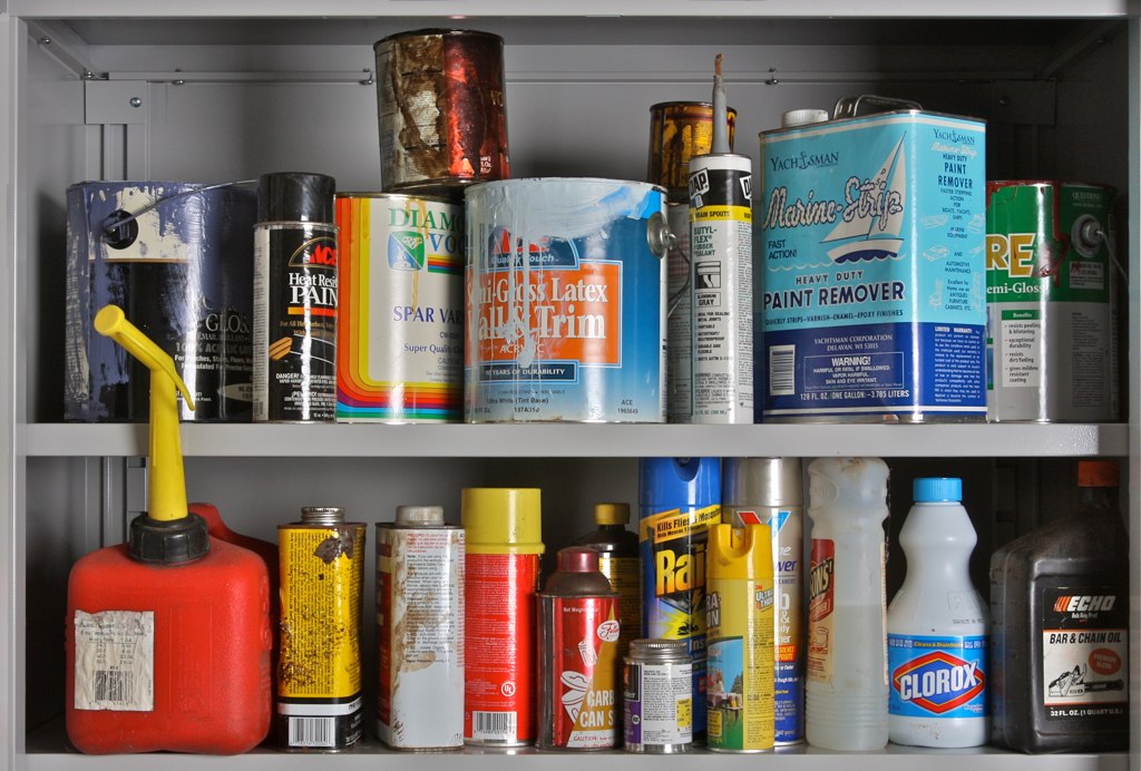 Common Household Hazards