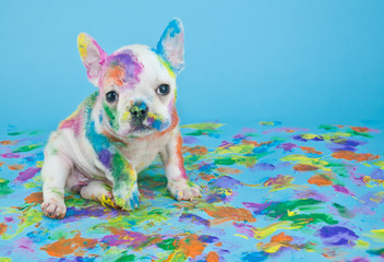 Color Made Easy