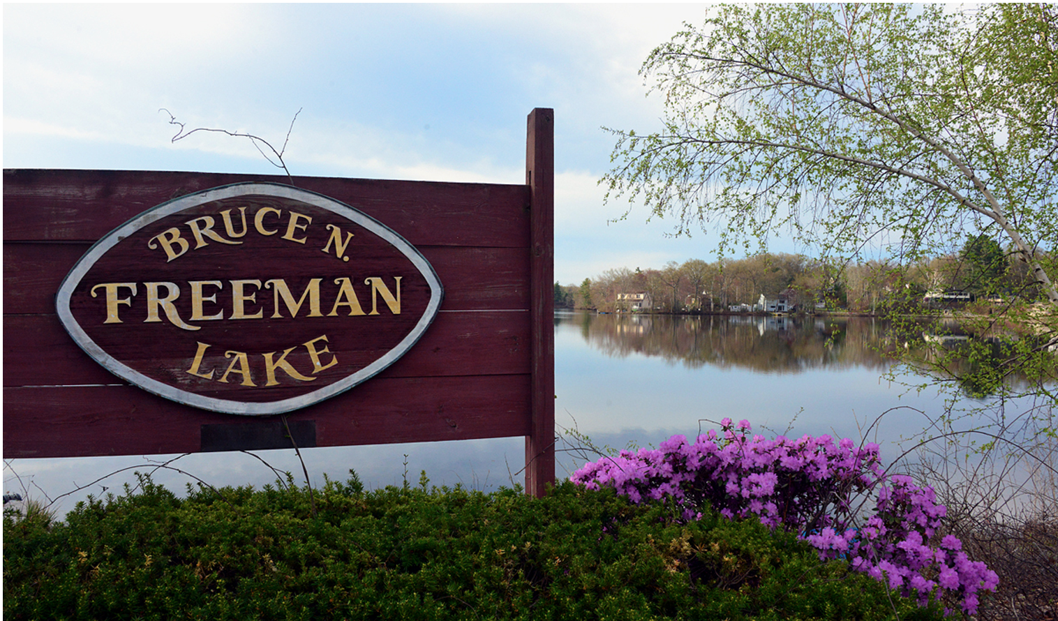 Looking Ahead: 10 Ways To Enjoy Spring in Chelmsford