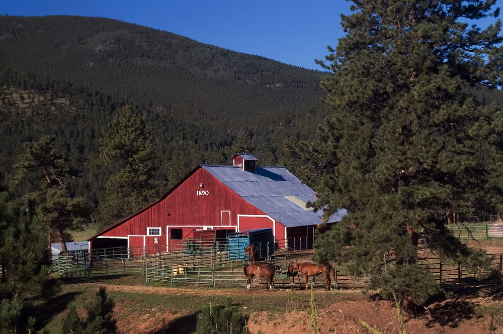 Realtor Sue Pollock Shows Off Denver’s ‘Close-in Country’ Living, Unlike Any Other